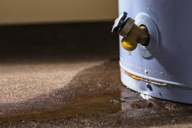 Carpet water damage restoration in Las Palmas Ii, TX
