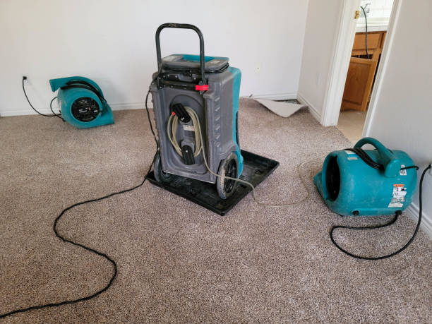 Best Water damage cleanup near me  in Las Palmas Ii, TX