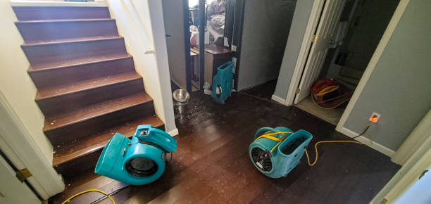 Best Flood damage cleanup  in Las Palmas Ii, TX