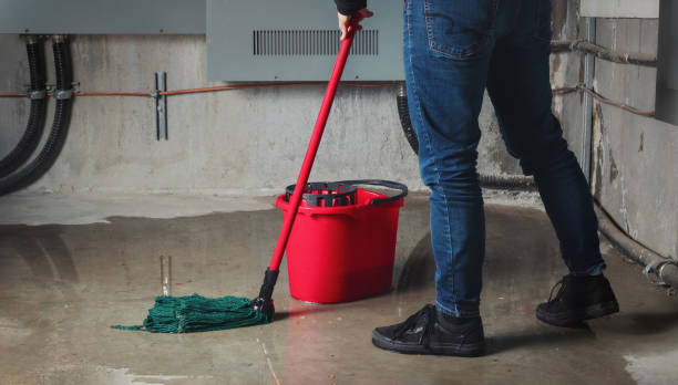 Best Fire Damage Restoration  in Las Palmas Ii, TX