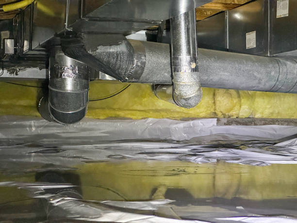 Best Sewage cleanup and water damage restoration  in Las Palmas Ii, TX