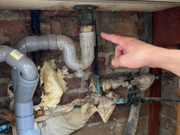 Best Local water damage restoration  in Las Palmas Ii, TX