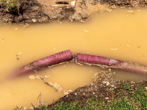 Reliable Las Palmas Ii, TX Water damage restoration Solutions